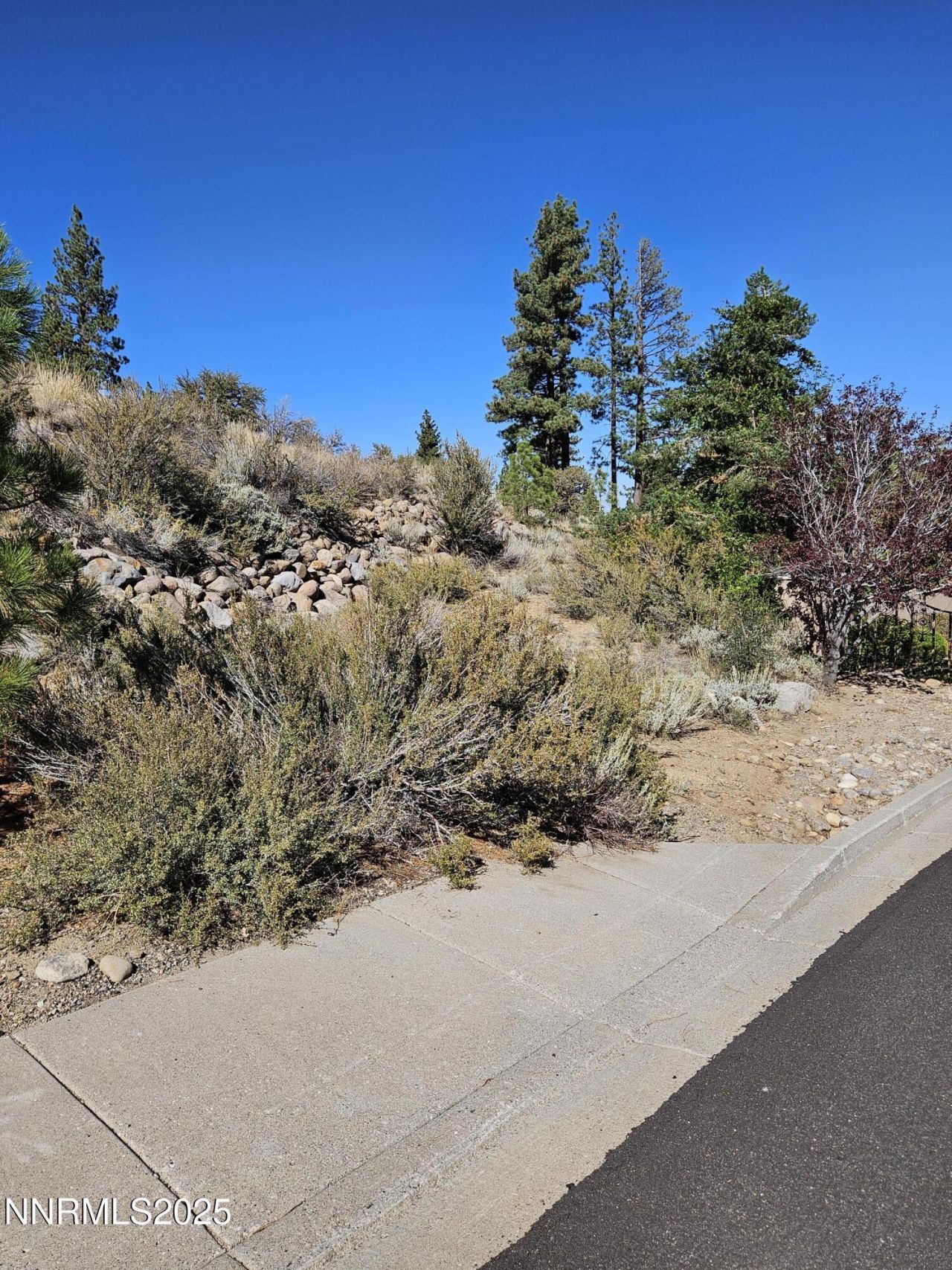 95 Bennington Court, Lot #330, Reno, NV 89511 Photo