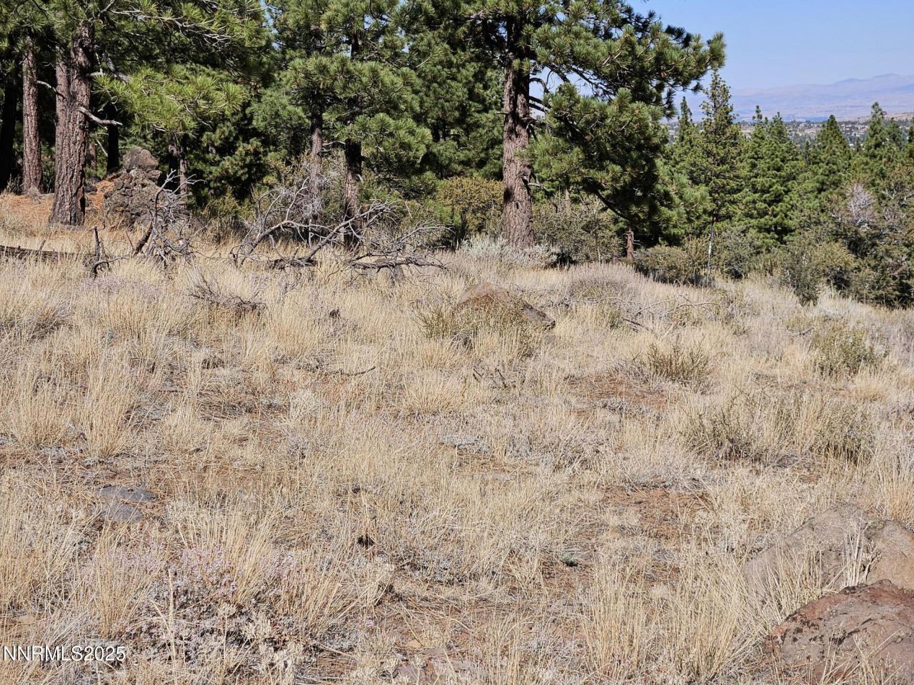 95 Bennington Court, Lot #330, Reno, NV 89511 Photo