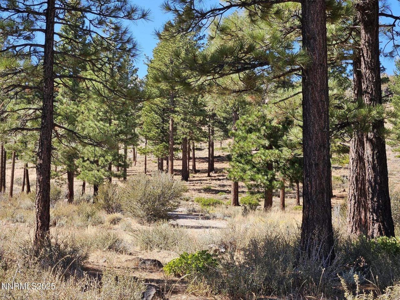 95 Bennington Court, Lot #330, Reno, NV 89511 Photo