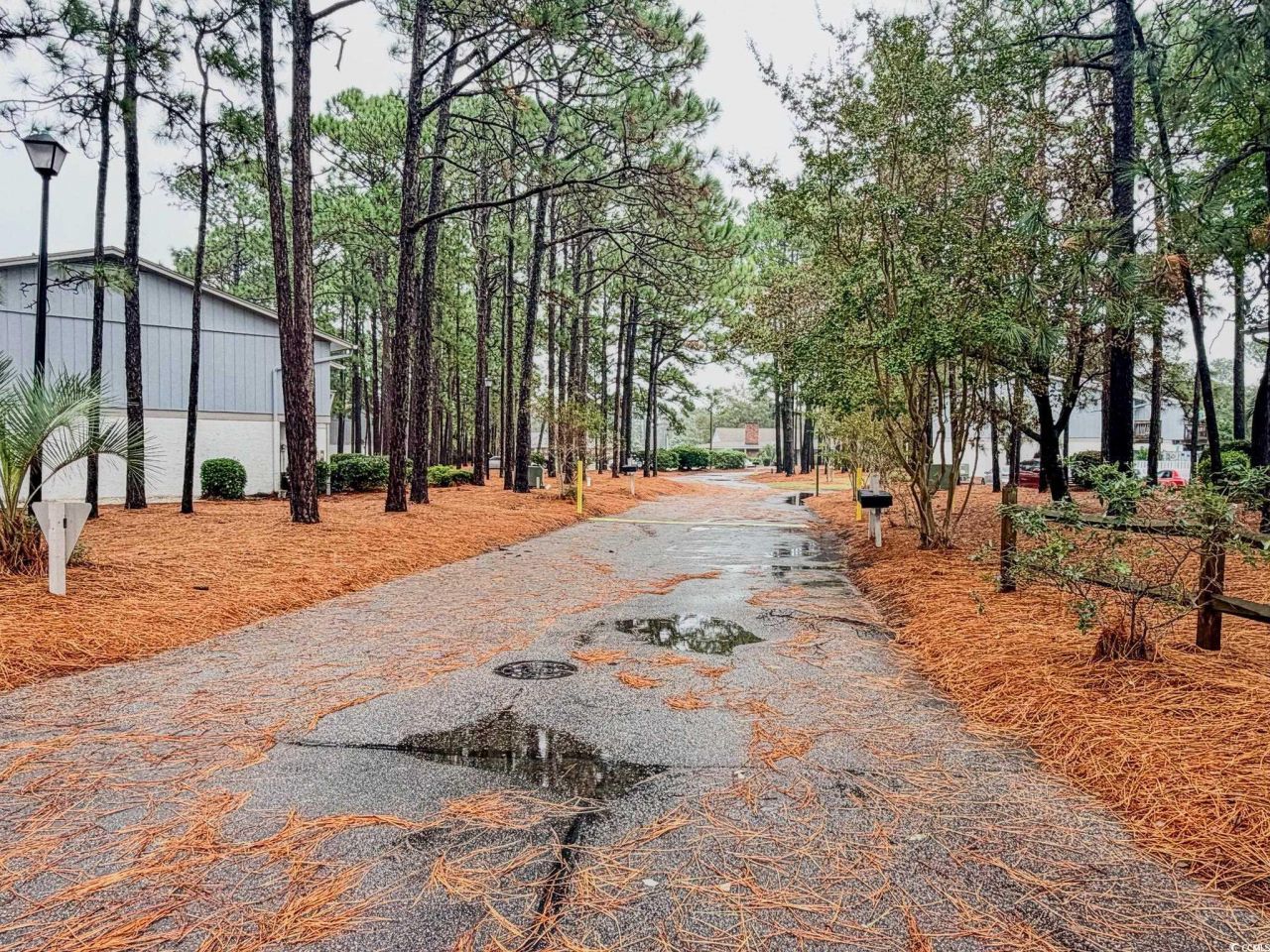 1817 Crooked Pine Dr. Photo 35