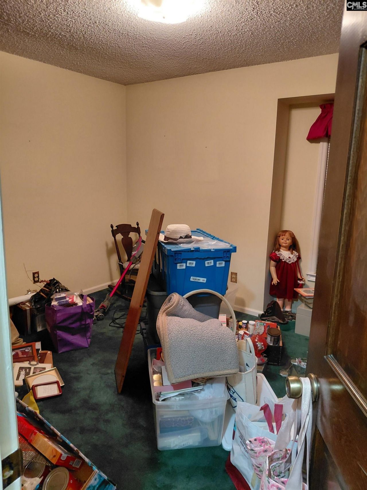 1372 Rail Fence Drive Photo 28