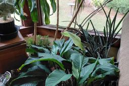 1372 Rail Fence Drive photo 4