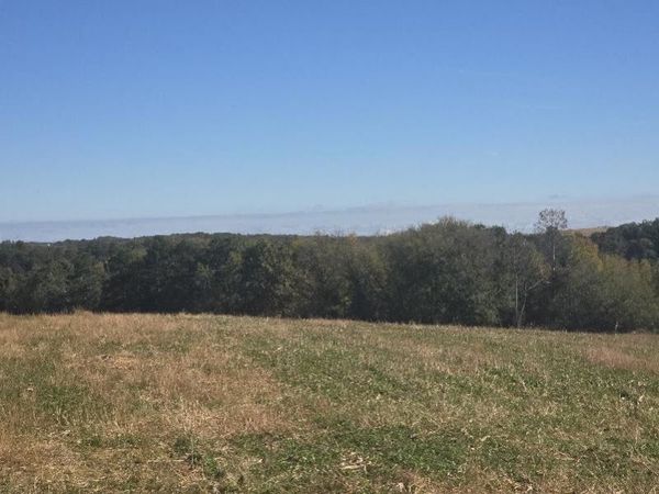 Mimosa Road, Wilton, WI 54670