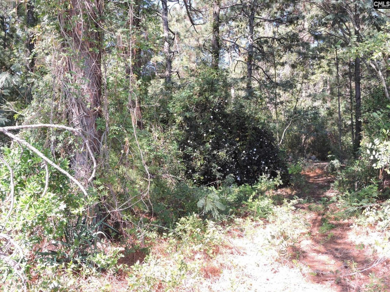 1250 South Lake Dr Photo 4