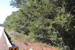 1250 South Lake Dr photo 4