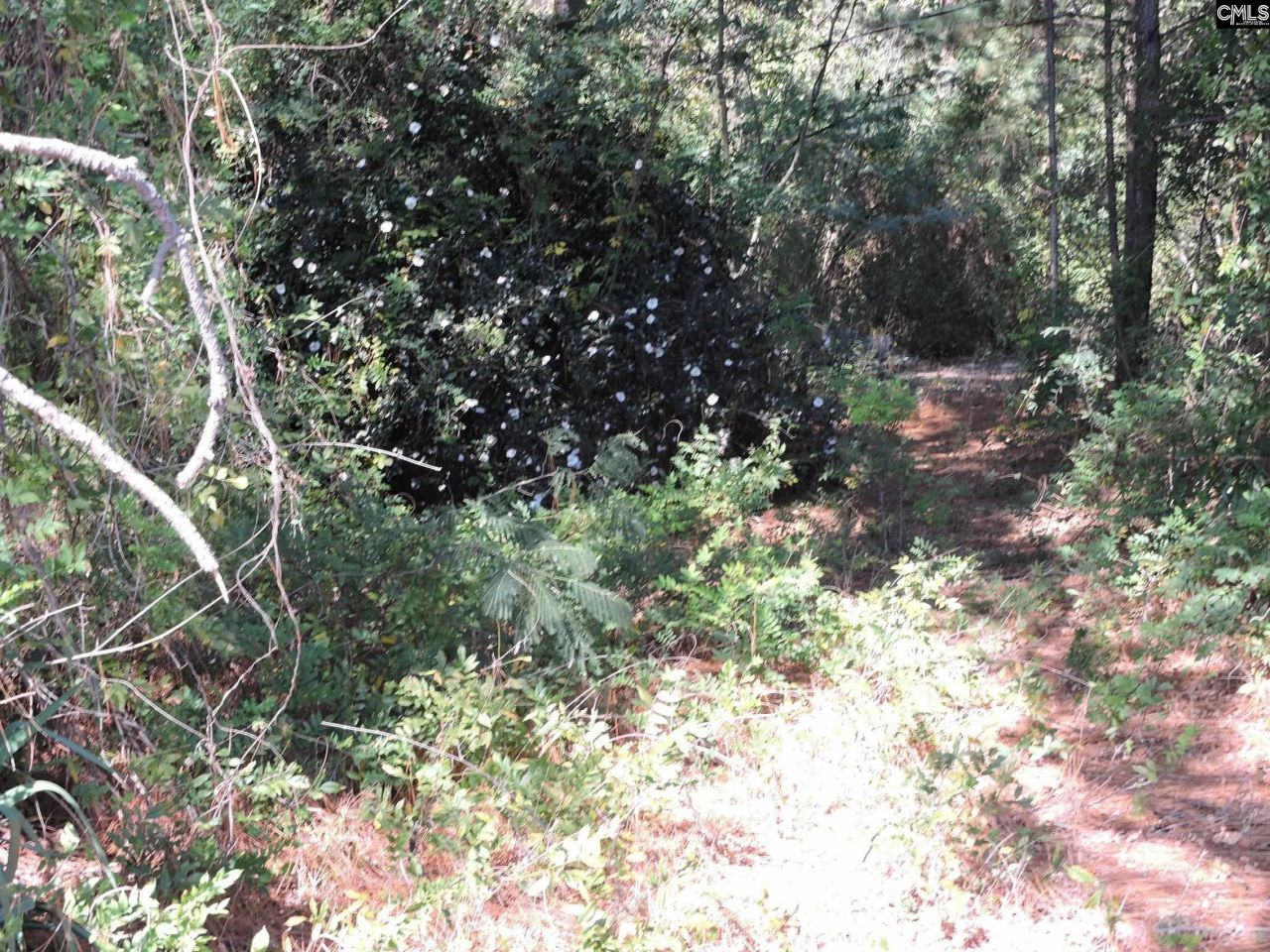 1250 South Lake Dr Photo 7