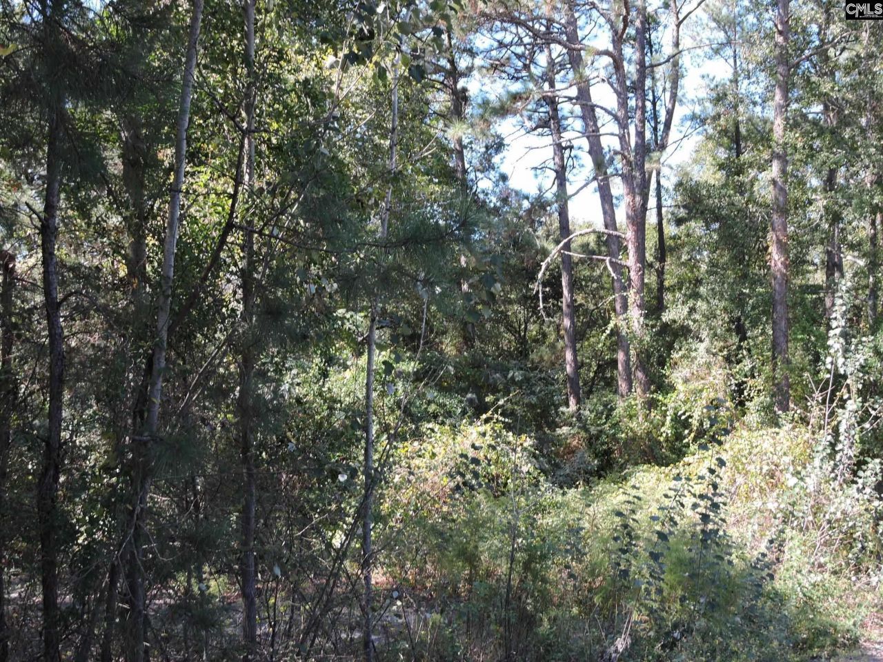 1250 South Lake Dr Photo 8