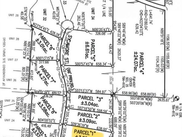 Parcel 1 Sycamore St. , Dryden Twp, MI 48428