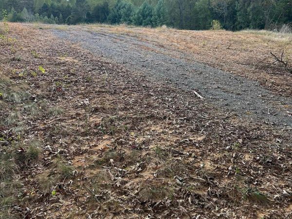 Lot 2 A Highway 39, Athens, TN 37303