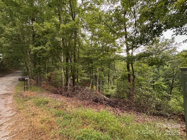 0 Buzzards Place, Lake Lure, NC 28746