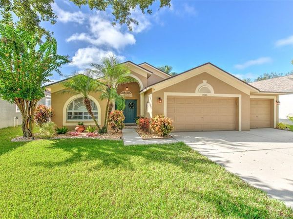 2505 ALLWOOD AVENUE, VALRICO, FL 33596