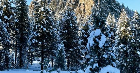 5720 Money Road, Beckwourth, CA 96129 Photo