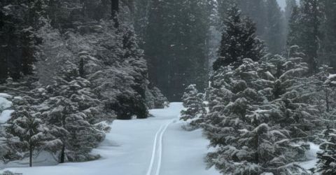 5720 Money Road, Beckwourth, CA 96129 Photo