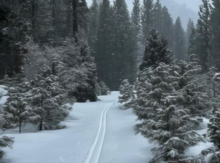 5720 Money Road, Beckwourth, CA 96129 Photo