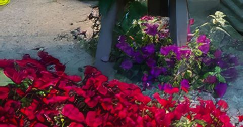 5720 Money Road, Beckwourth, CA 96129 Photo