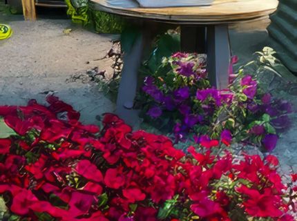 5720 Money Road, Beckwourth, CA 96129 Photo