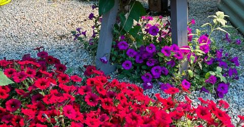 5720 Money Road, Beckwourth, CA 96129 Photo