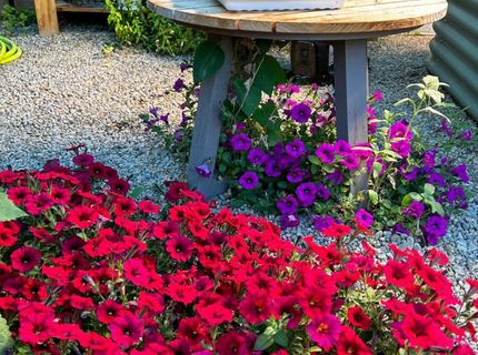 5720 Money Road, Beckwourth, CA 96129 Photo