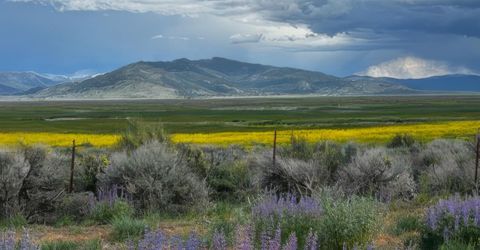 5720 Money Road, Beckwourth, CA 96129 Photo