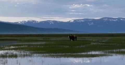 5720 Money Road, Beckwourth, CA 96129 Photo