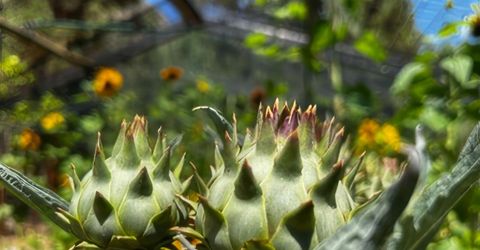 5720 Money Road, Beckwourth, CA 96129 Photo