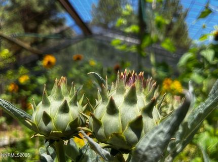 5720 Money Road, Beckwourth, CA 96129 Photo