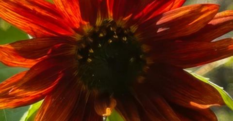 5720 Money Road, Beckwourth, CA 96129 Photo