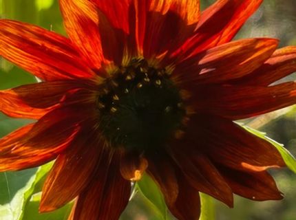 5720 Money Road, Beckwourth, CA 96129 Photo