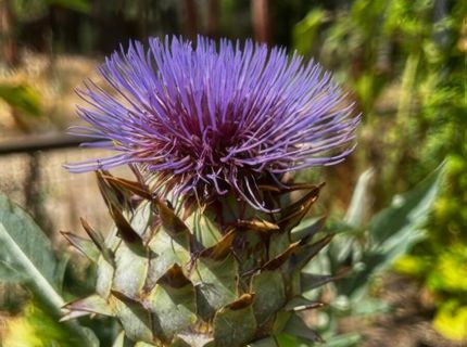 5720 Money Road, Beckwourth, CA 96129 Photo