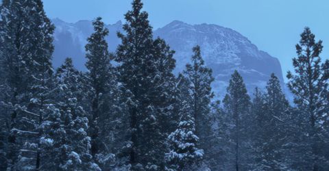 5720 Money Road, Beckwourth, CA 96129 Photo