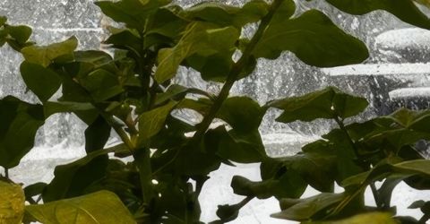 5720 Money Road, Beckwourth, CA 96129 Photo