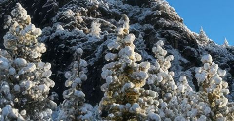 5720 Money Road, Beckwourth, CA 96129 Photo