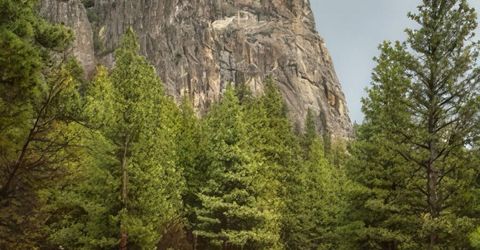 5720 Money Road, Beckwourth, CA 96129 Photo