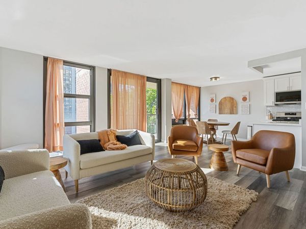 2941 S Michigan Avenue, Unit 407, Chicago, IL 60616