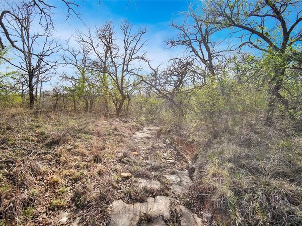 44 Acres Slusher Road, Jacksboro, TX 76458