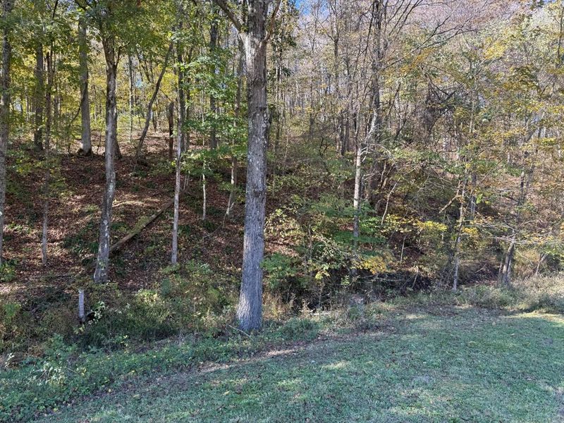 4085 Cannelville Road, Roseville, OH 43777 Photo 28