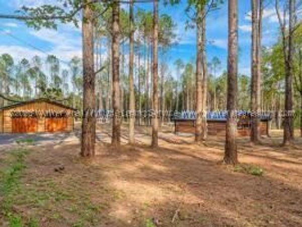 1200 NO. 2 HILL Rd, Nauvoo, AL 35578