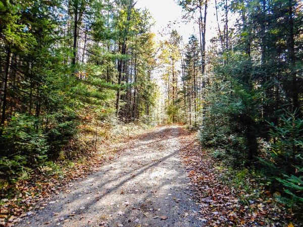 N16656 DEXTER DRIVE, Pembine, WI 54156