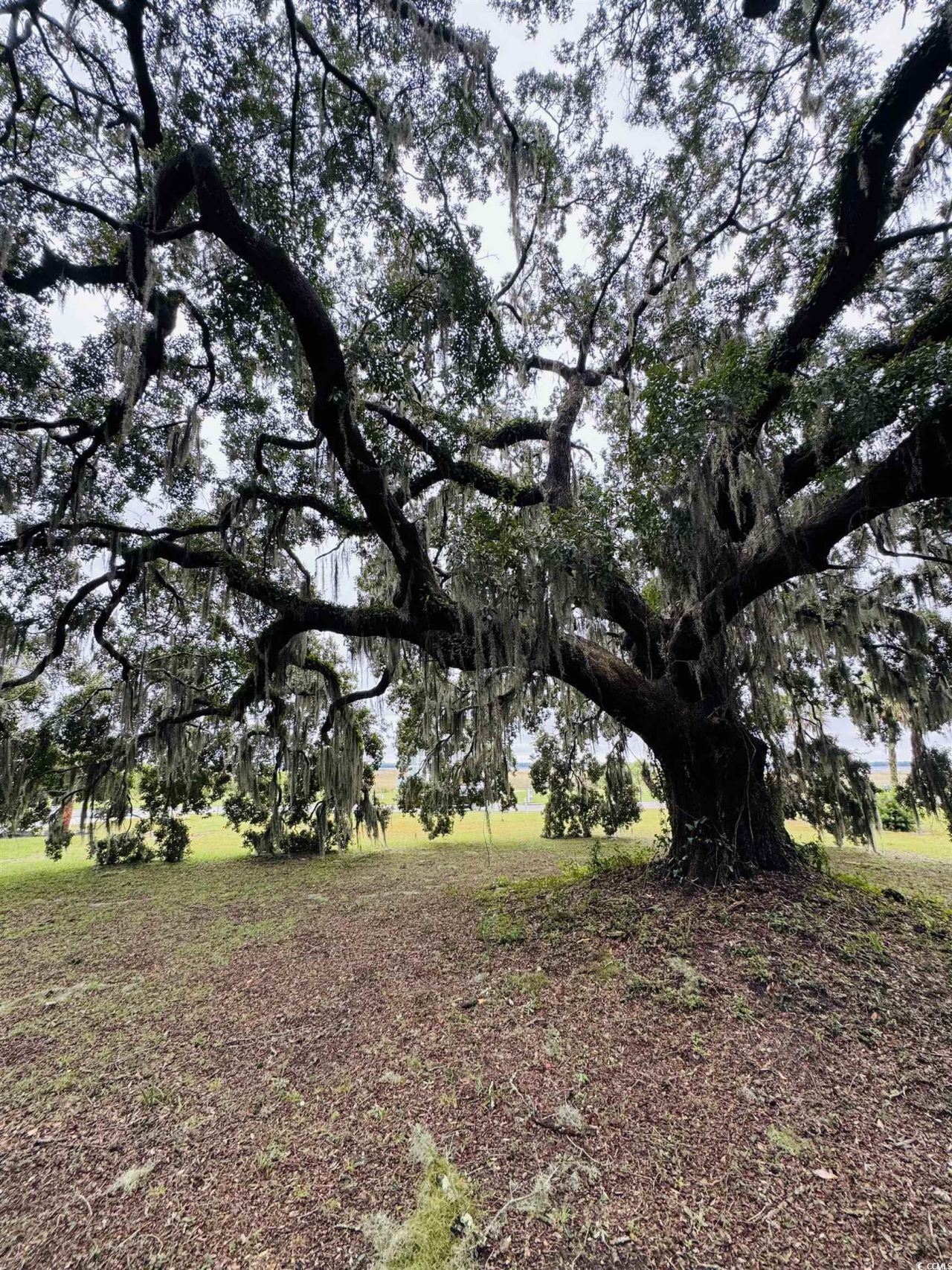 Lot 50 Oak Bay Dr. Photo 5