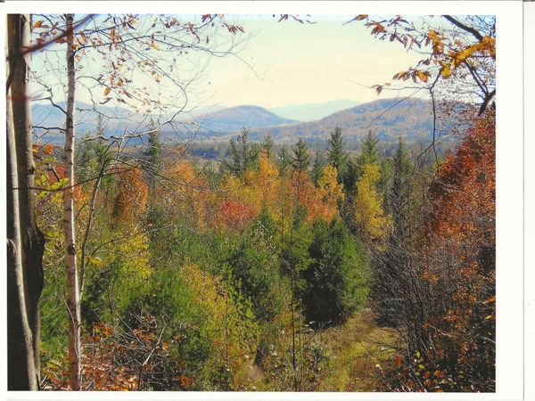 0 North Road, Guildhall, VT 05905