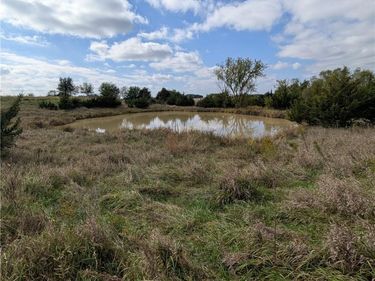 E 280th Street, Ridgeway, MO 64481