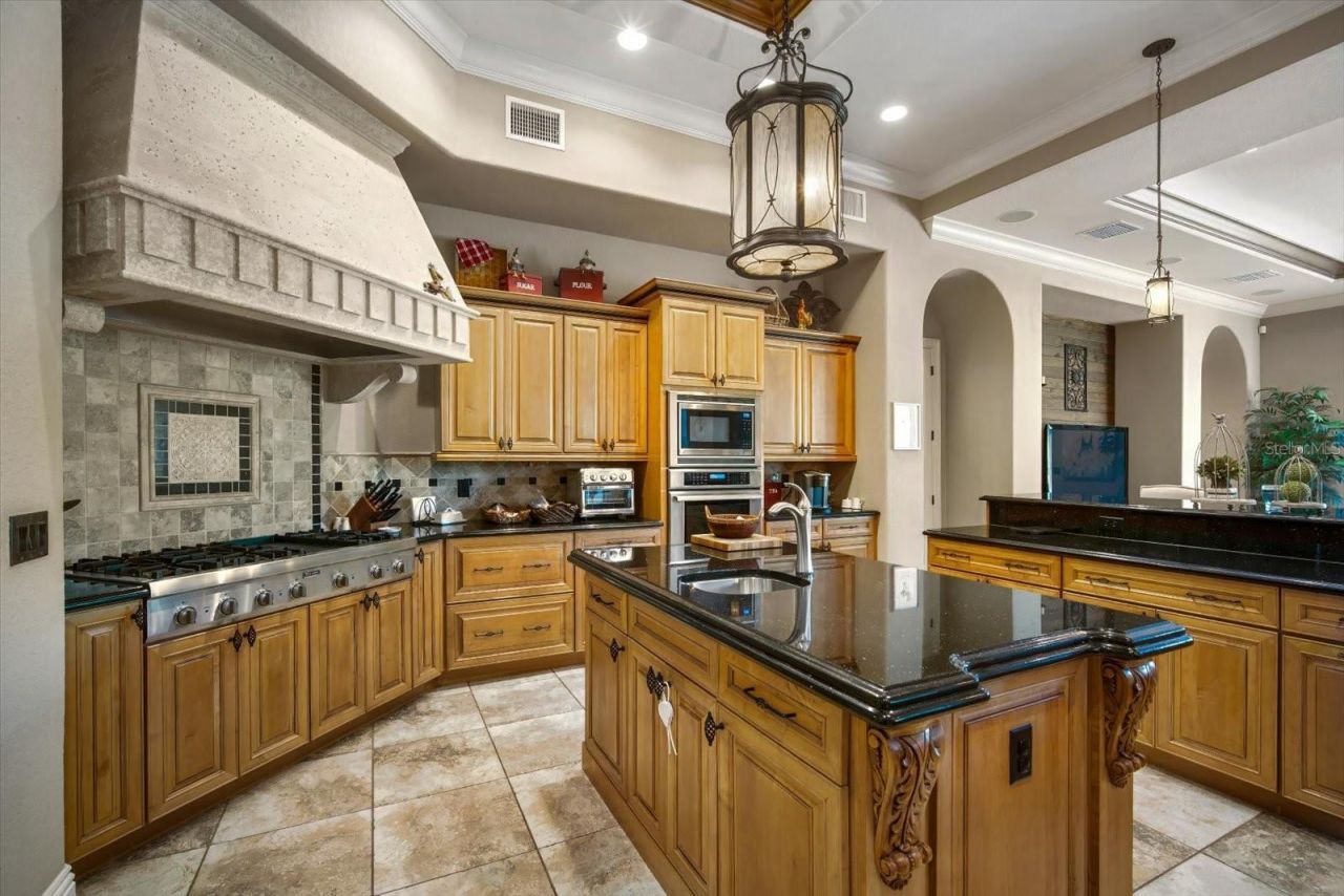 16220 Ternglade Drive, Lithia, FL 33547 Photo