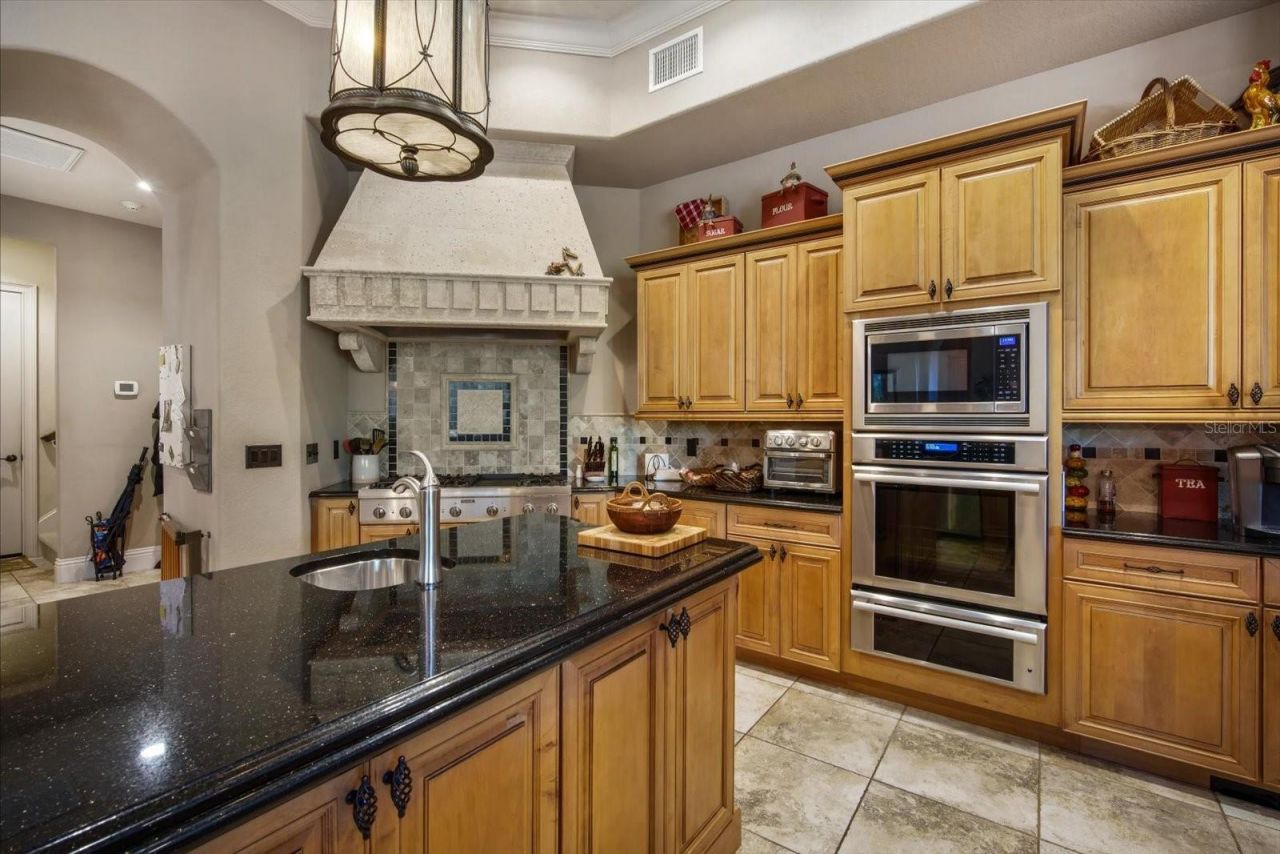 16220 Ternglade Drive, Lithia, FL 33547 Photo