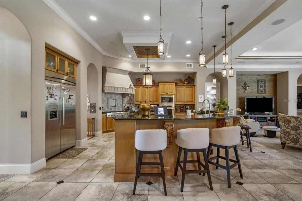 16220 Ternglade Drive, Lithia, FL 33547 Photo