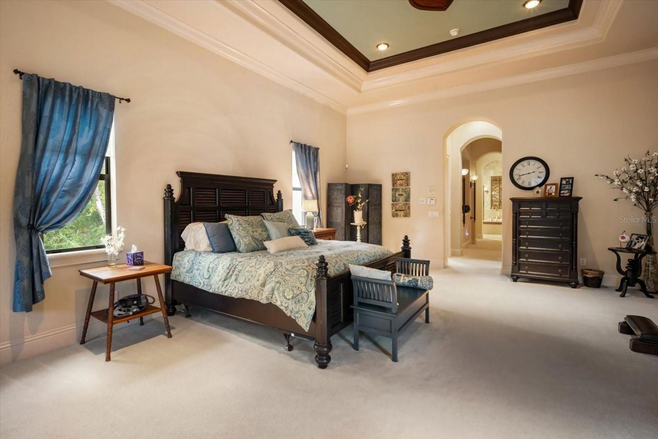 16220 Ternglade Drive, Lithia, FL 33547 Photo