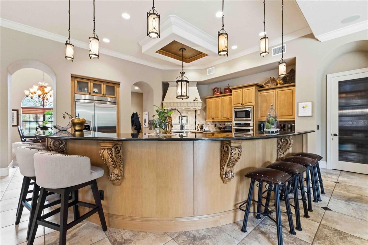 16220 Ternglade Drive, Lithia, FL 33547 Photo