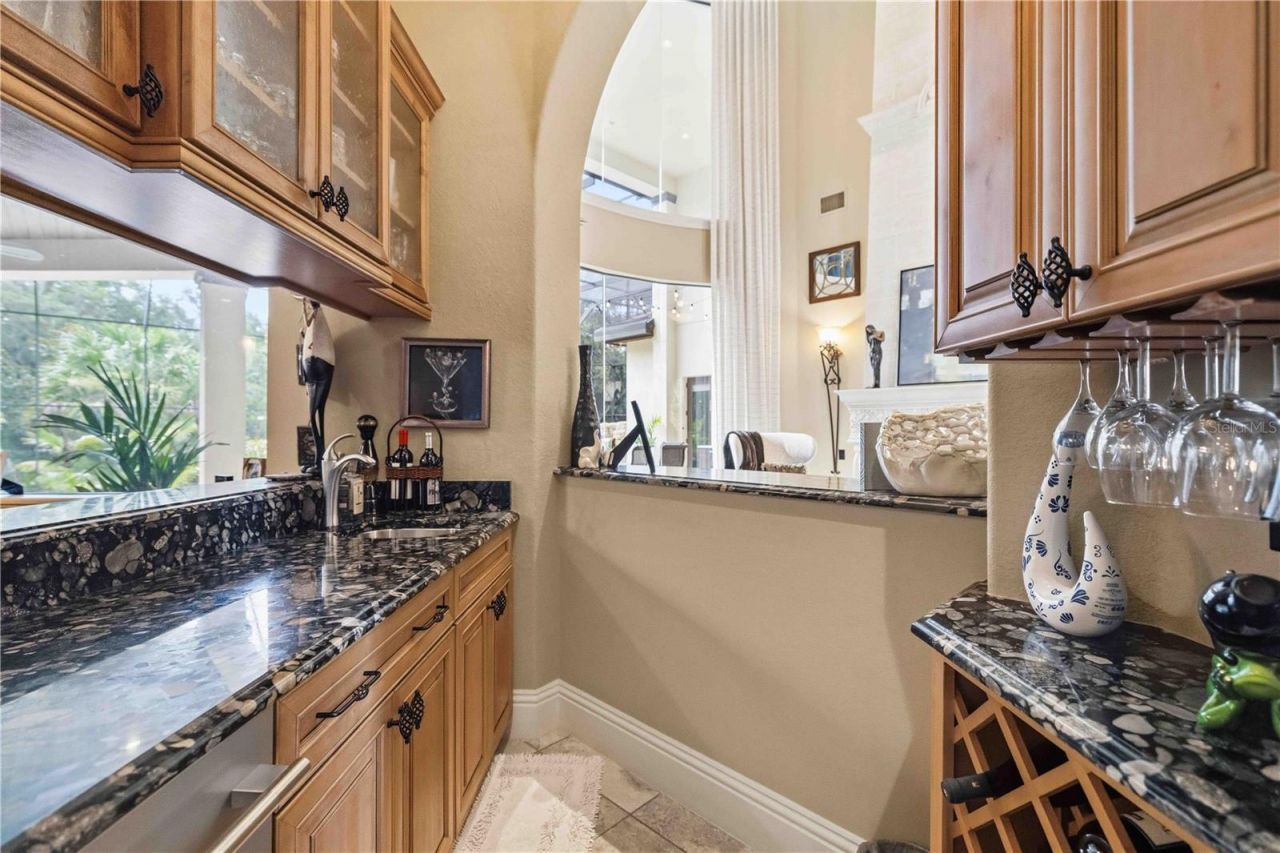 16220 Ternglade Drive, Lithia, FL 33547 Photo
