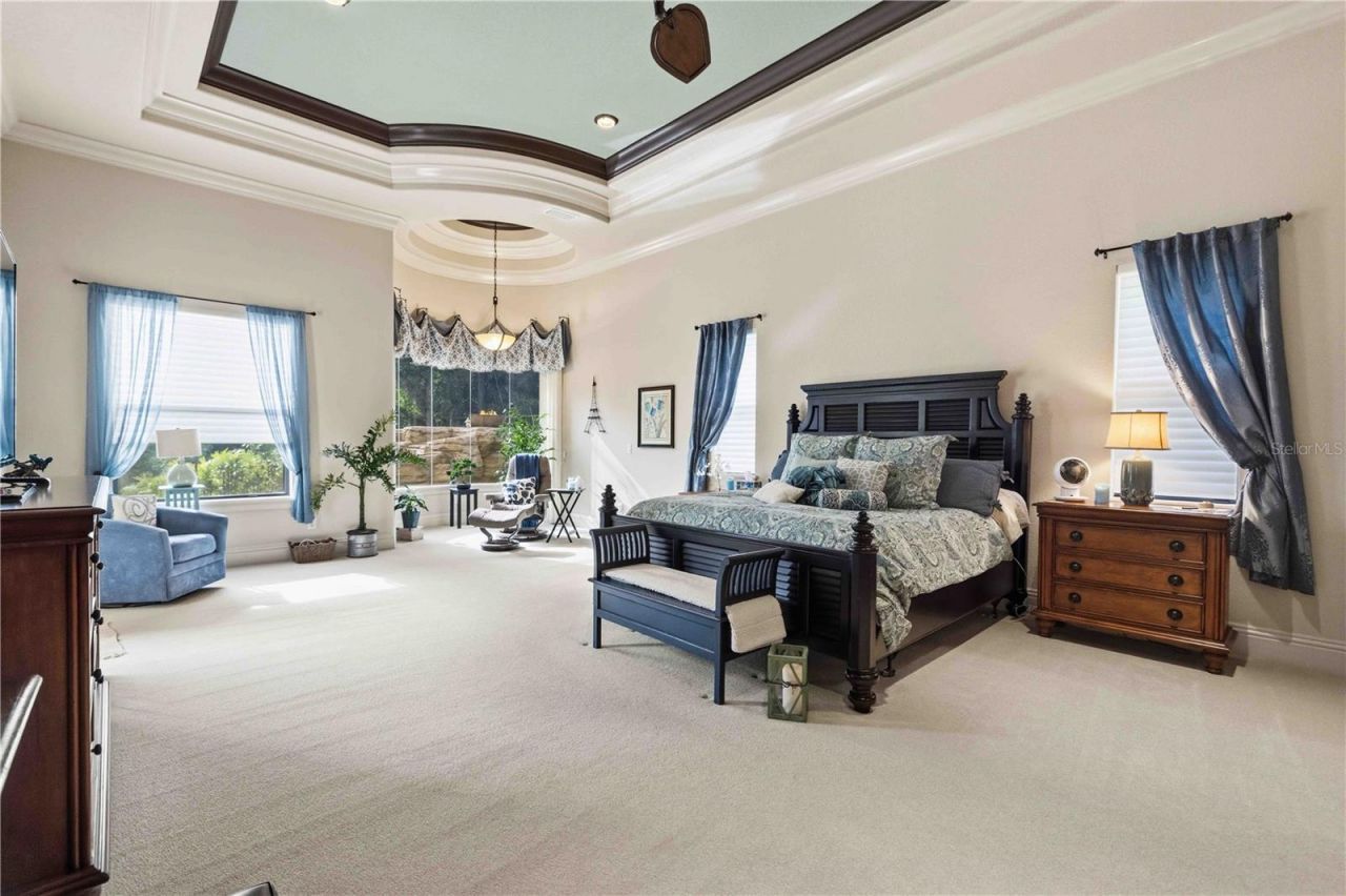 16220 Ternglade Drive, Lithia, FL 33547 Photo