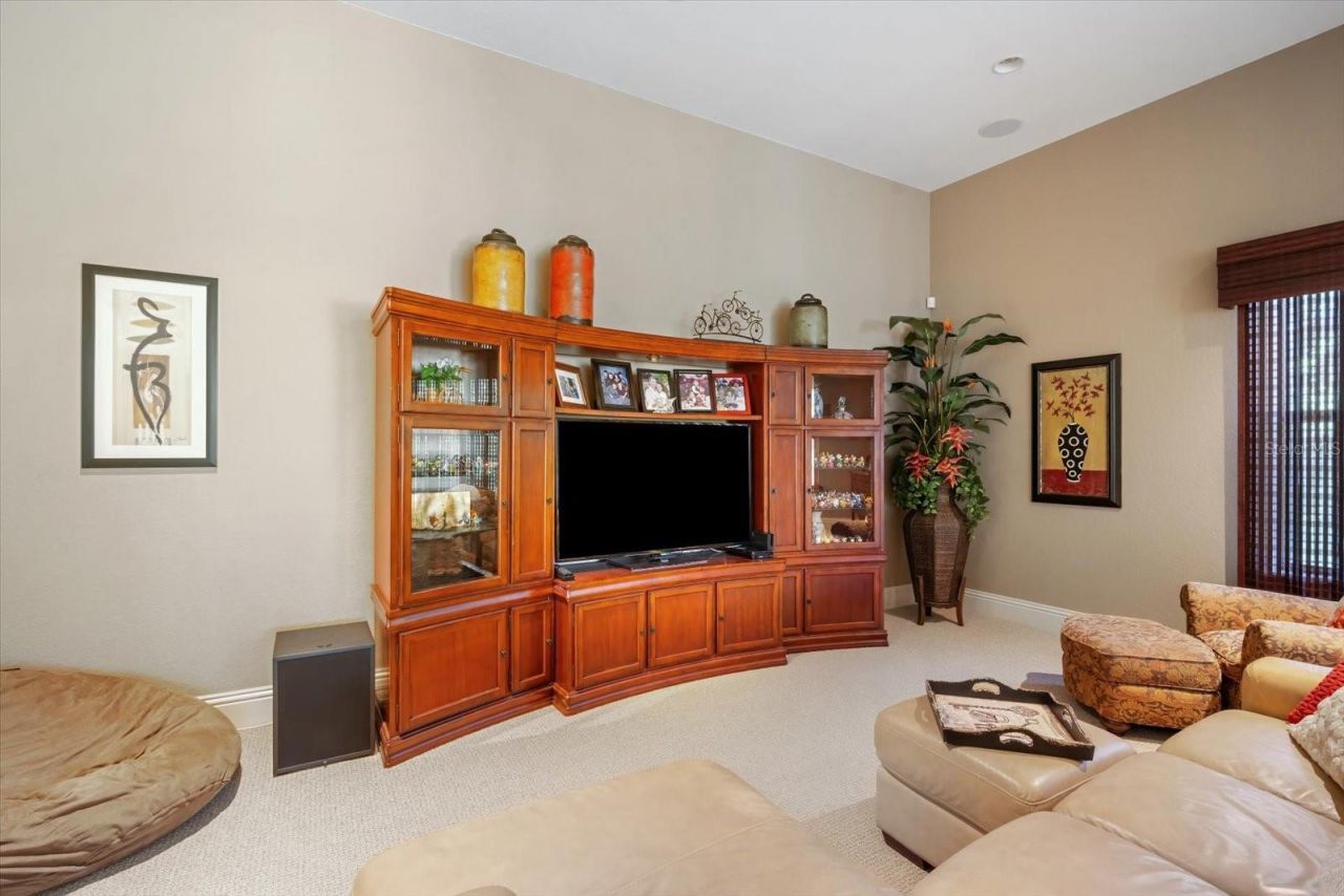 16220 Ternglade Drive, Lithia, FL 33547 Photo