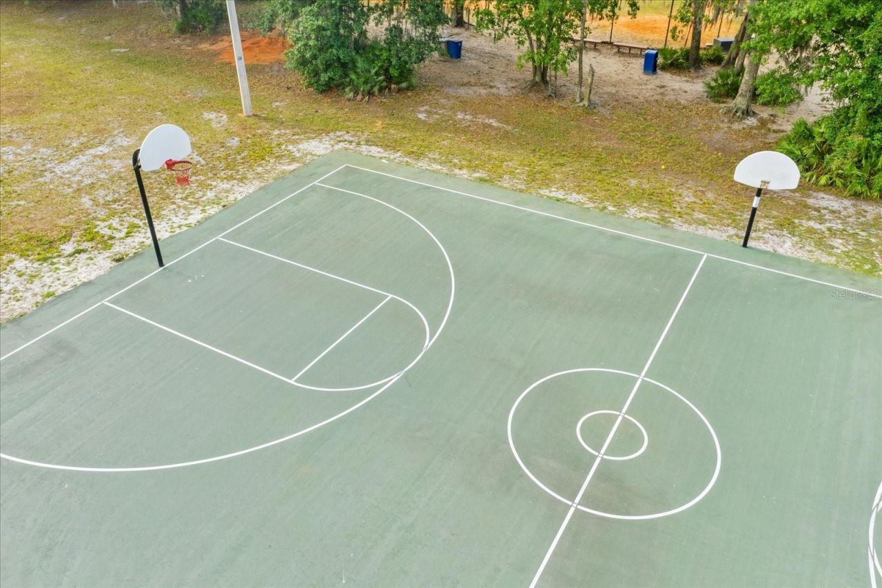 16220 Ternglade Drive, Lithia, FL 33547 Photo